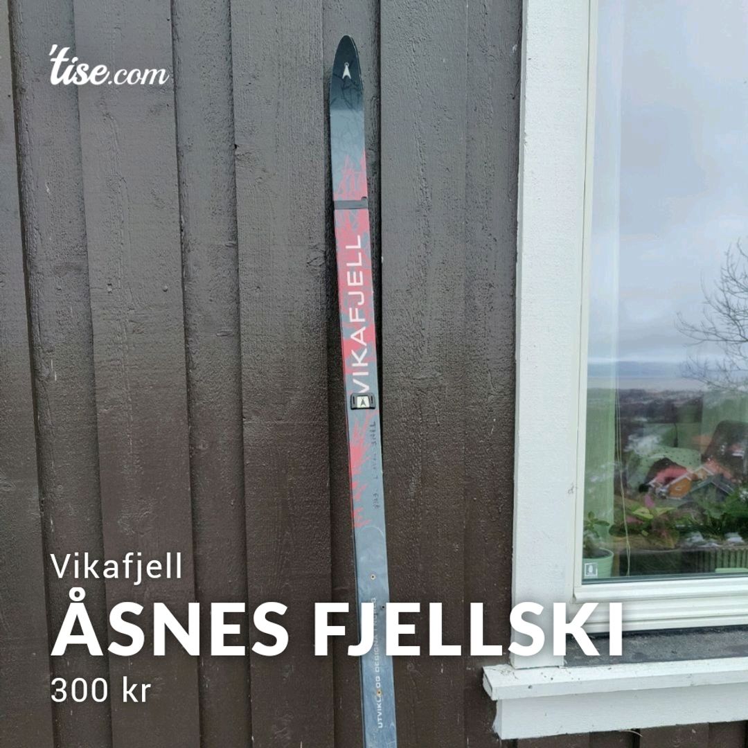 Åsnes Fjellski