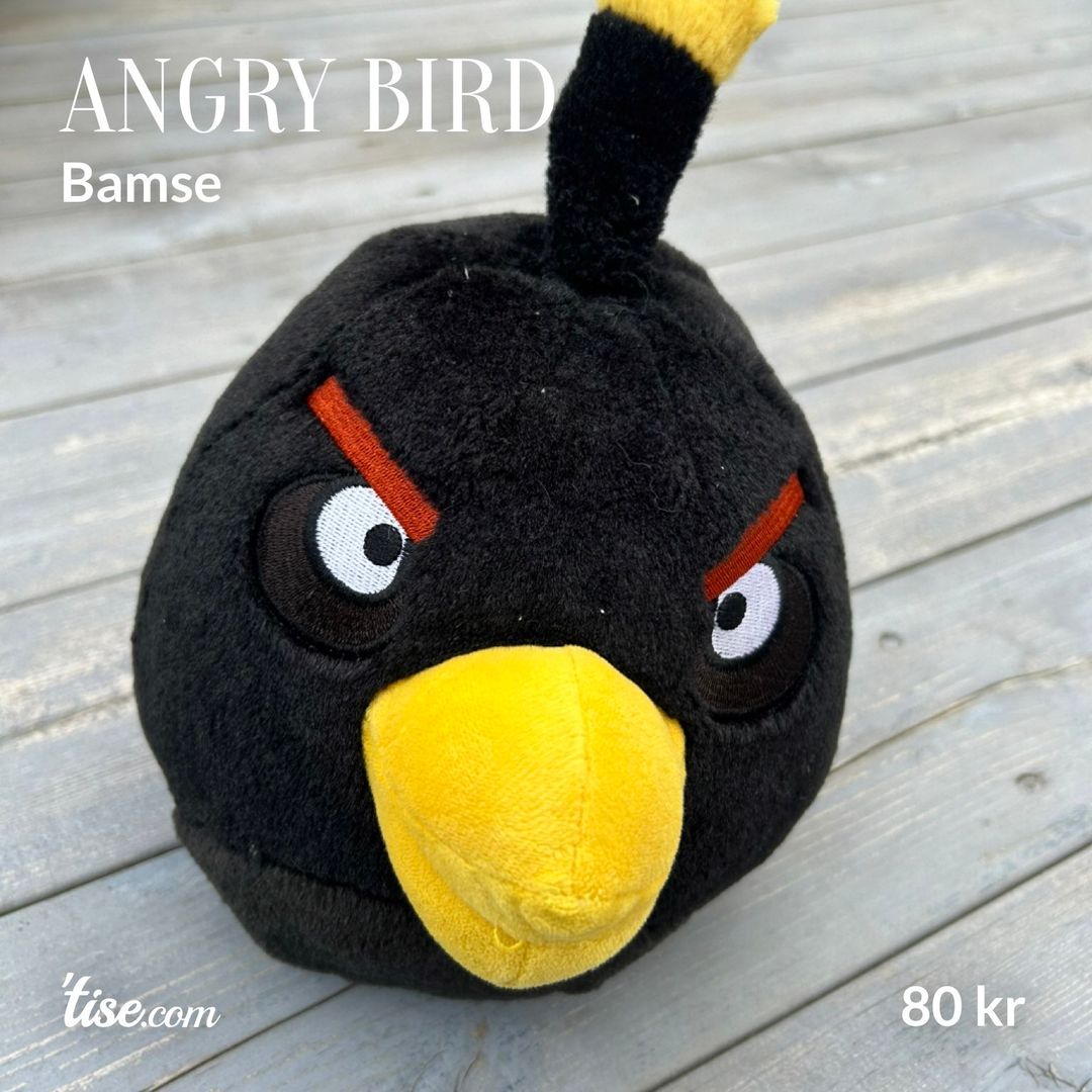 Angry bird