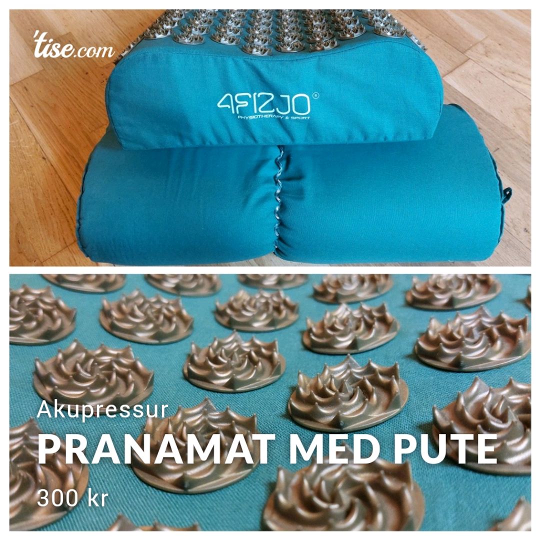 Pranamat med pute