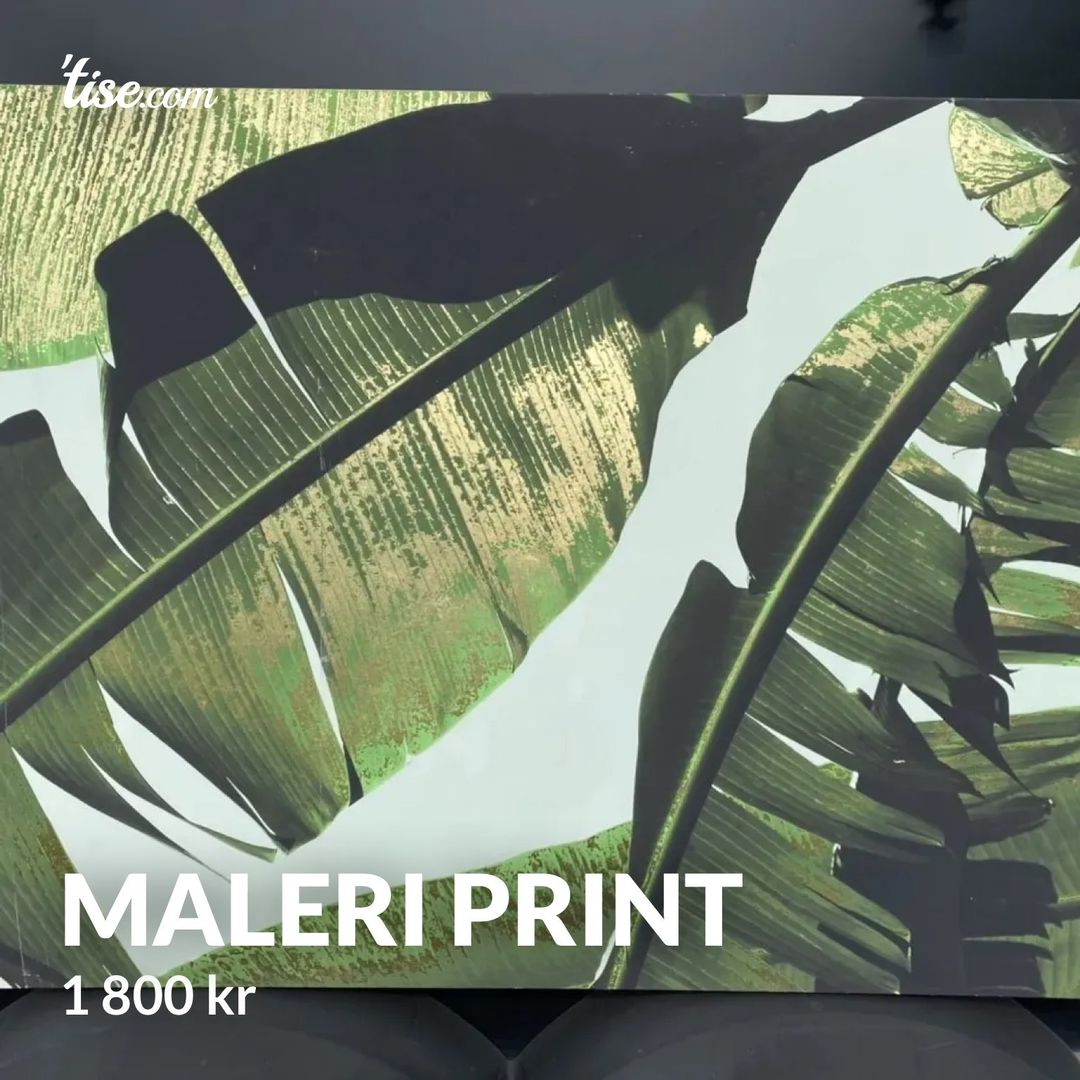 Maleri Print