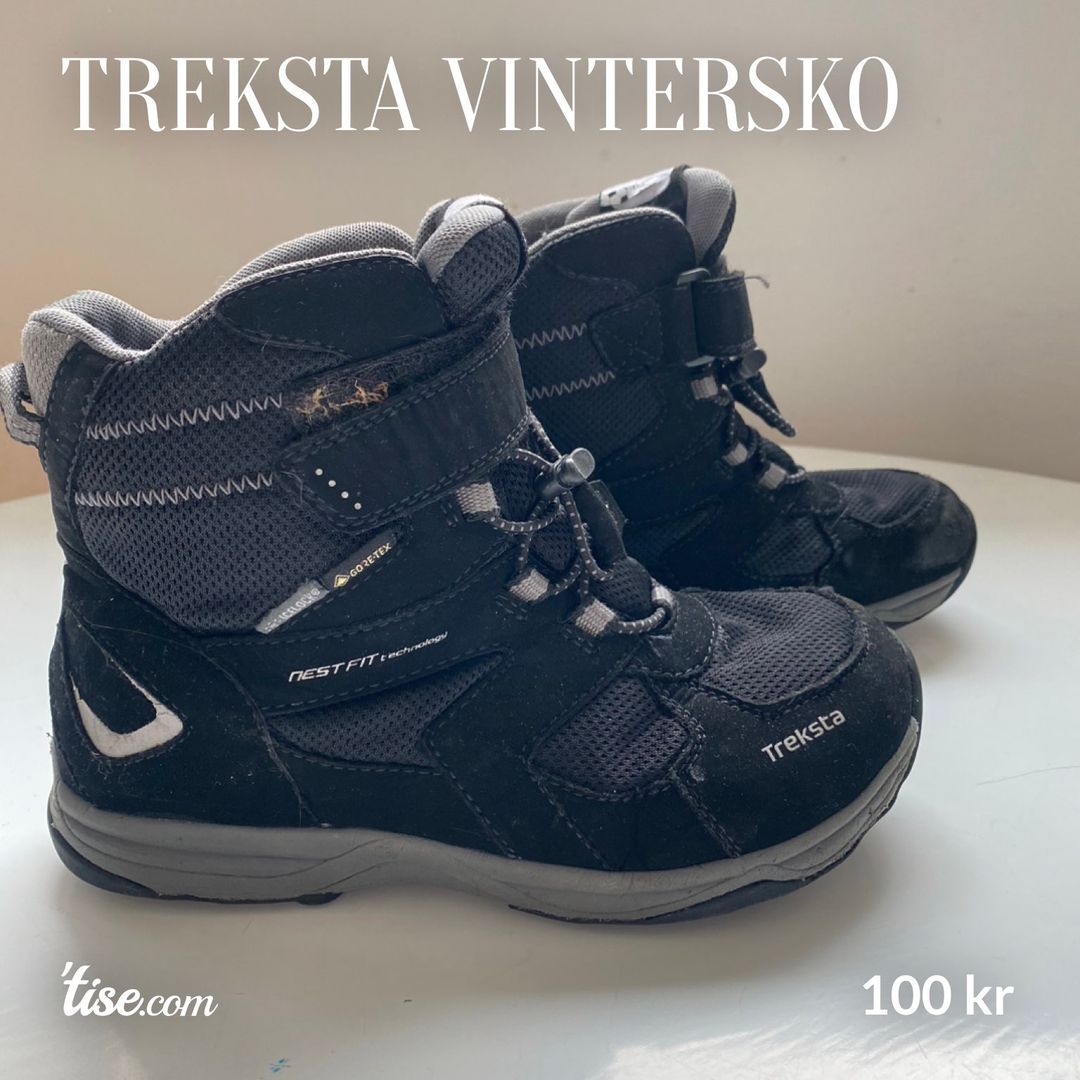 Treksta vintersko