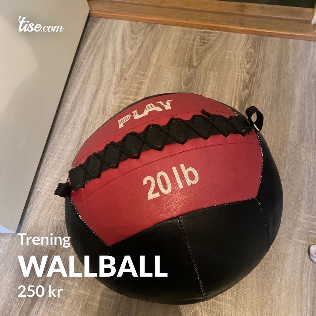 Wallball