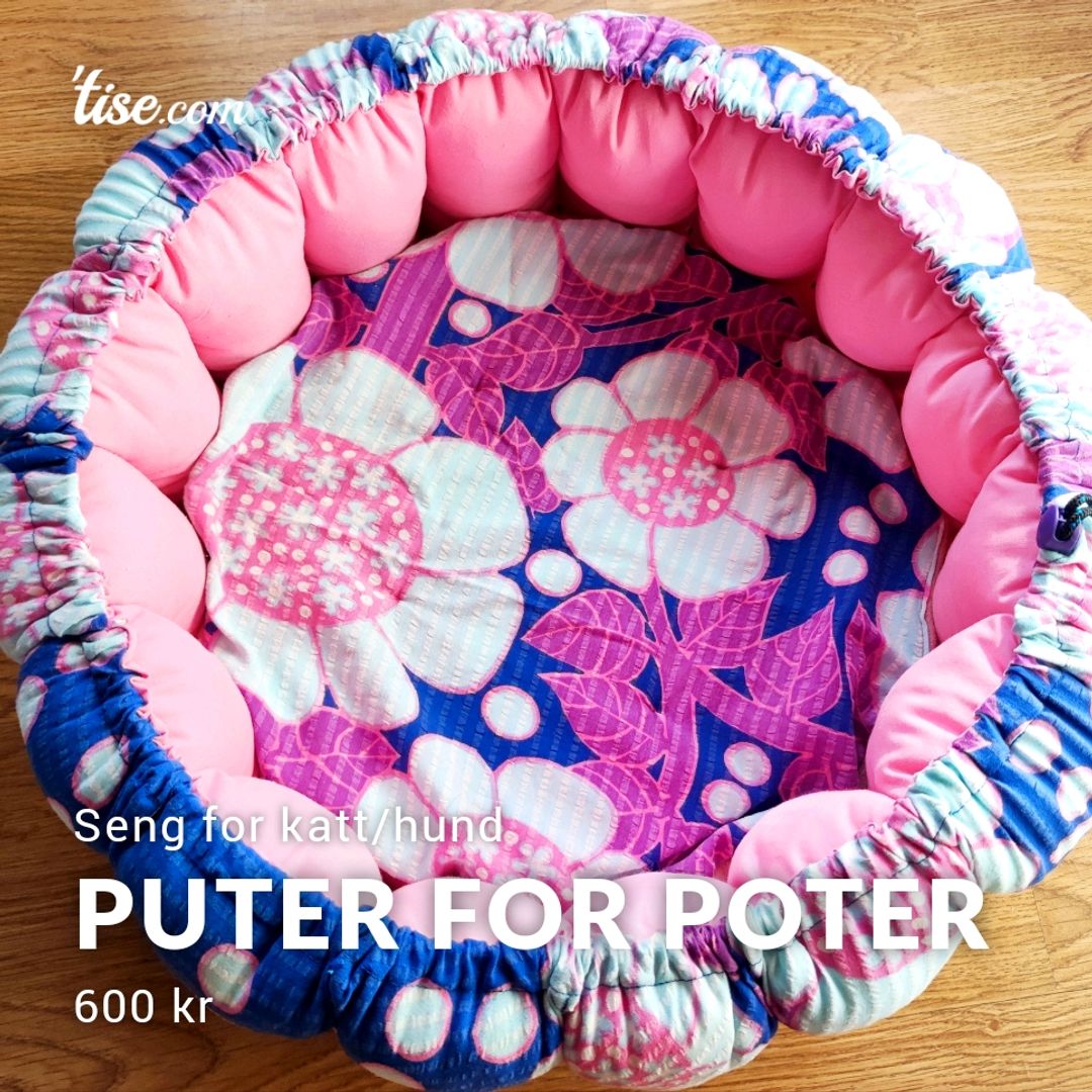 Puter For Poter