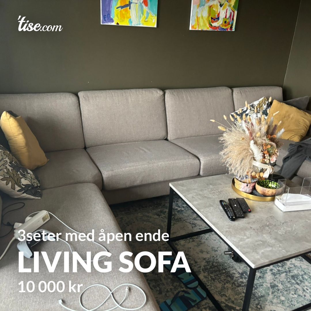 Living sofa