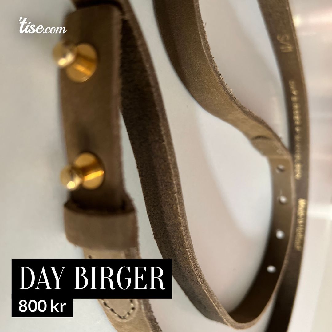 Day Birger