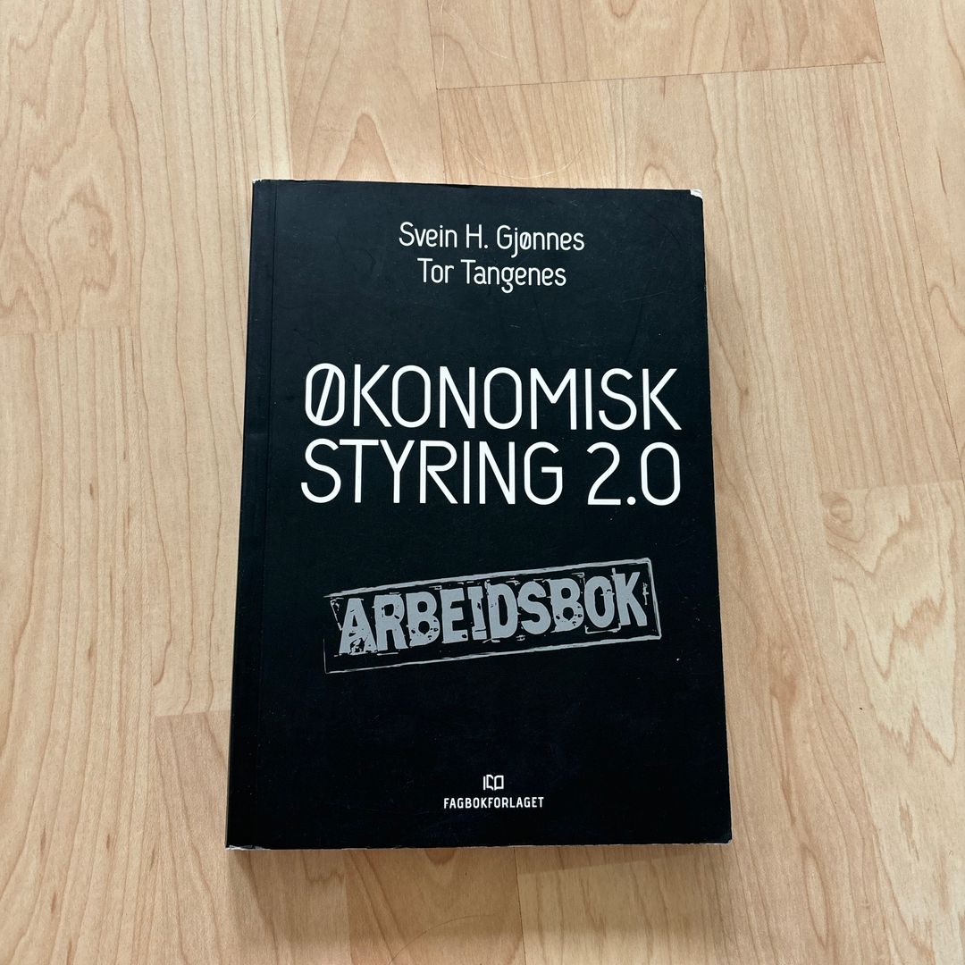 Økonomisk styring