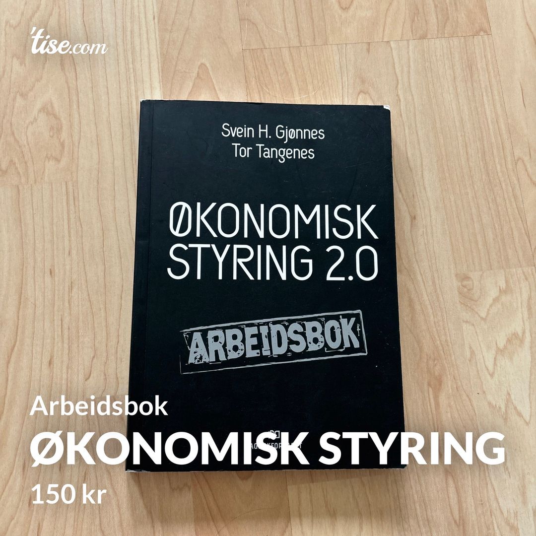 Økonomisk styring