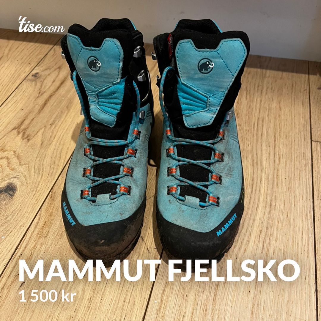 Mammut fjellsko