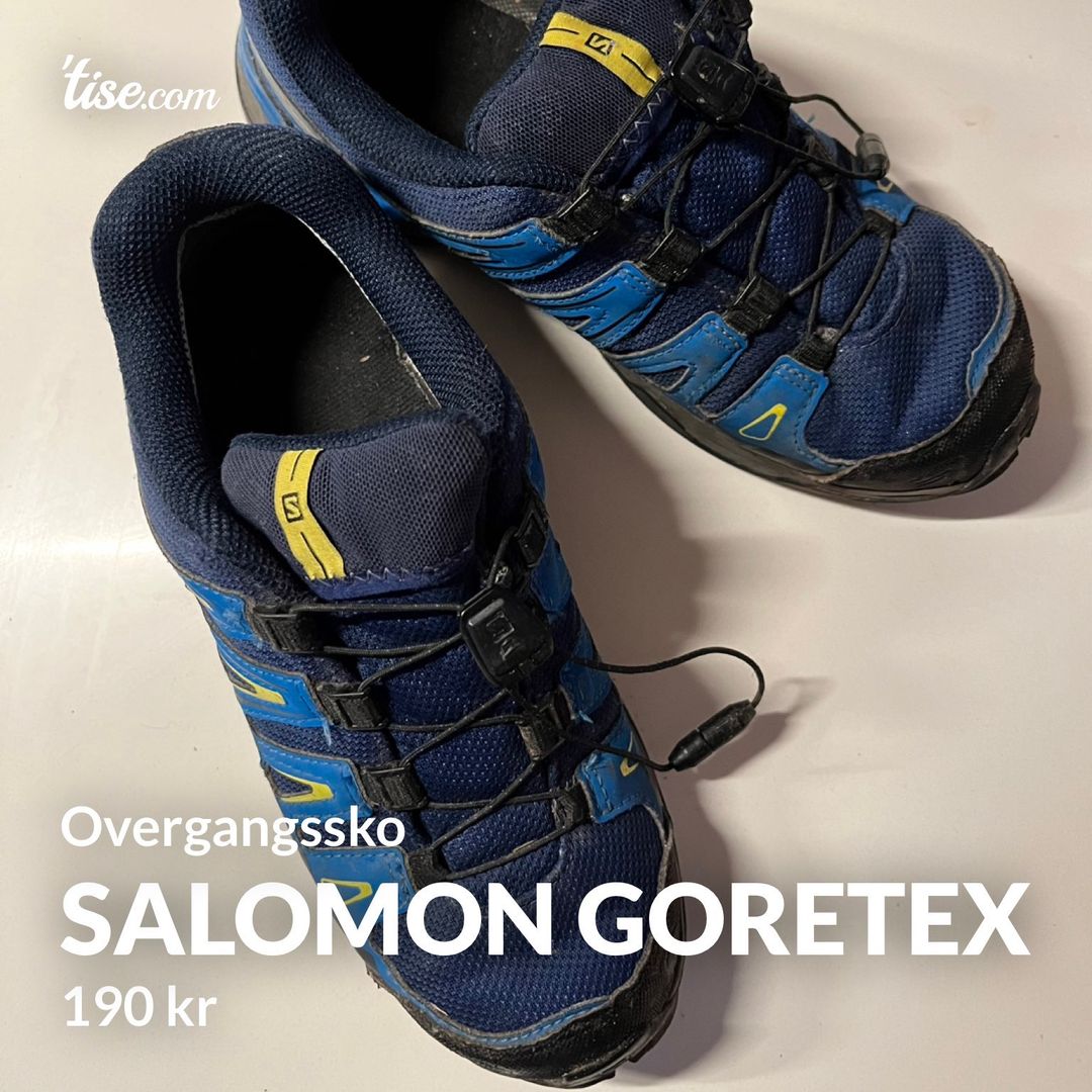 Salomon Goretex