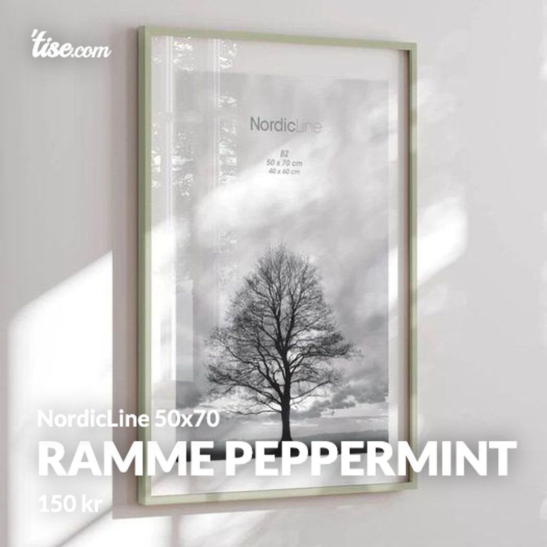 Ramme Peppermint