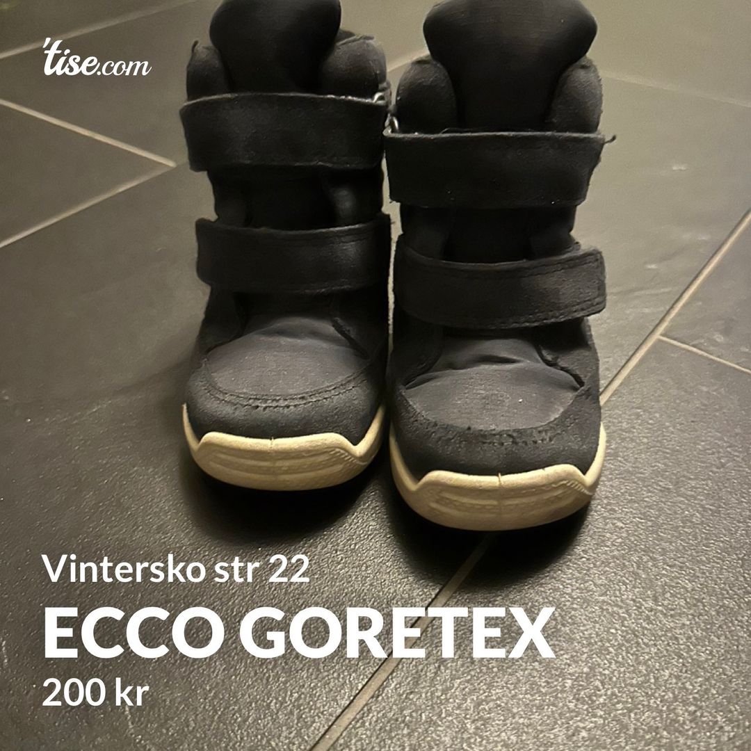 Ecco Goretex