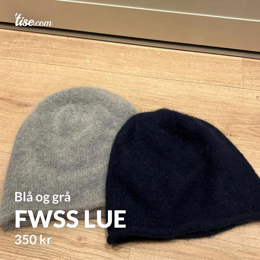 FWSS Lue