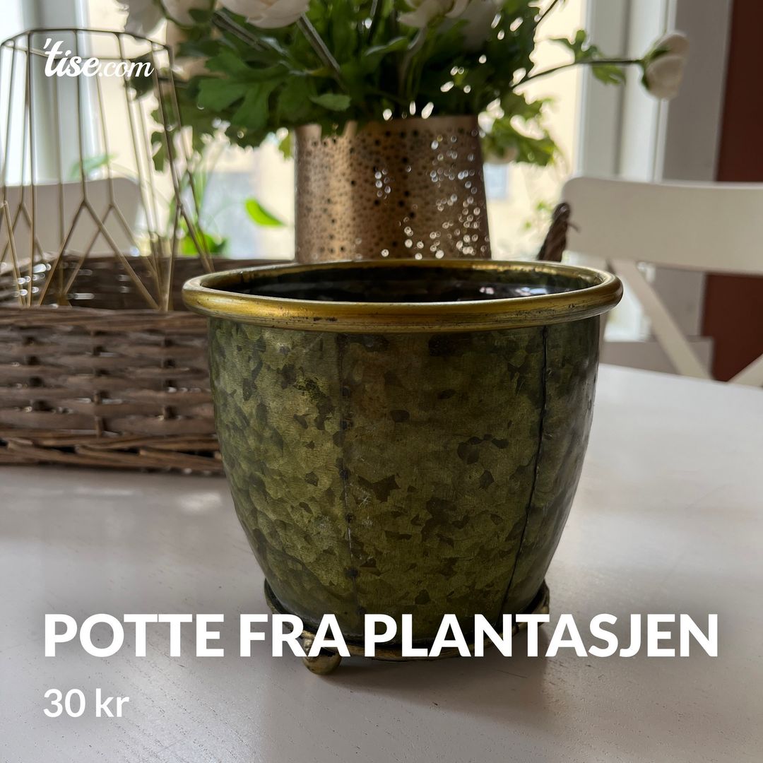 Potte fra Plantasjen