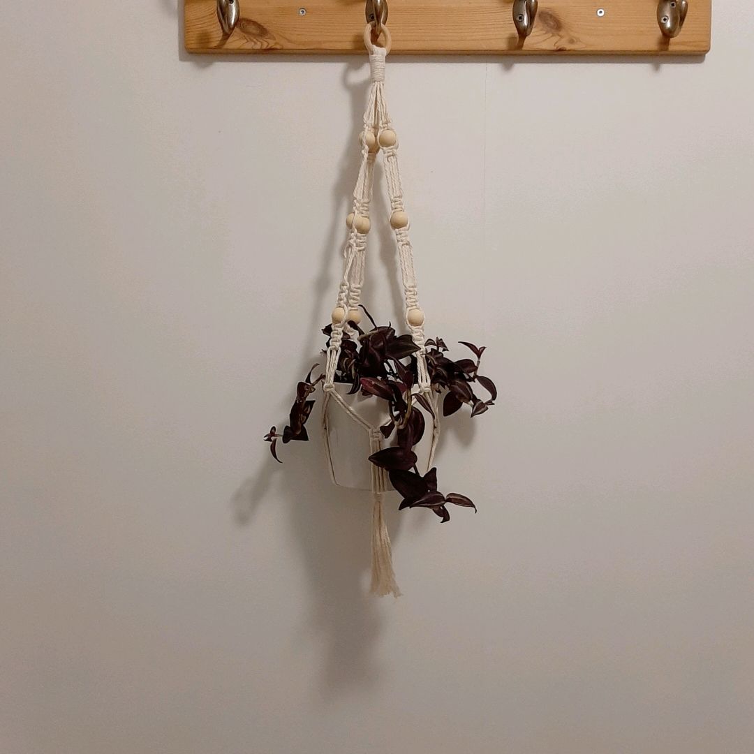 Macrame Plant Hanger