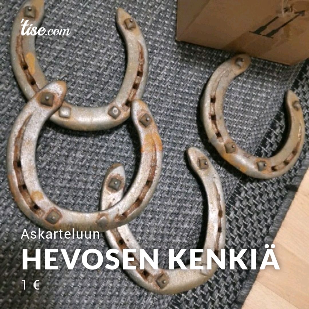 Hevosen Kenkiä