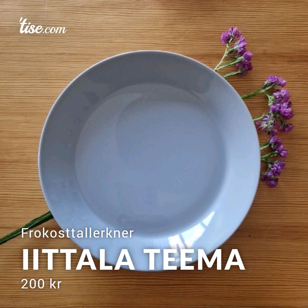 Iittala Teema