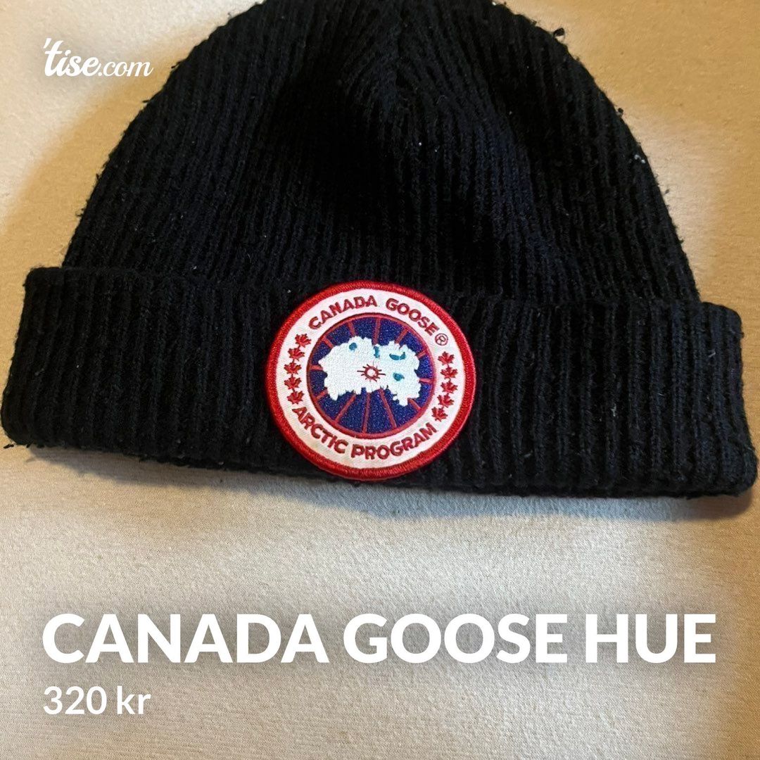 Canada Goose hue