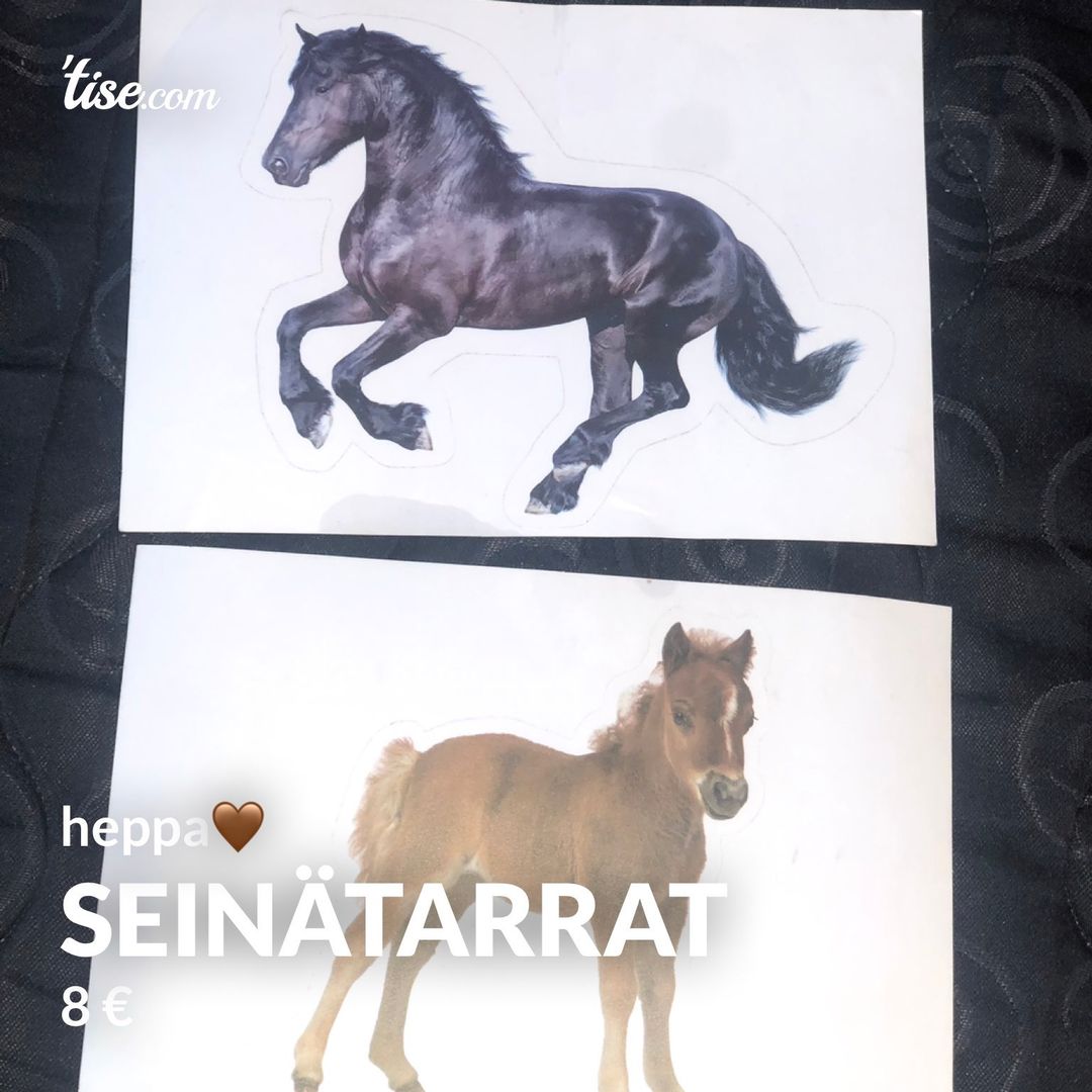 Seinätarrat