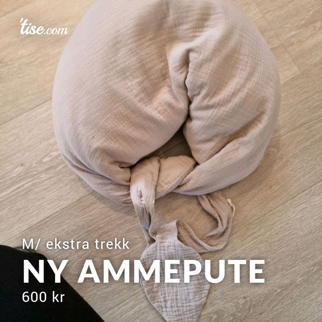 NY Ammepute