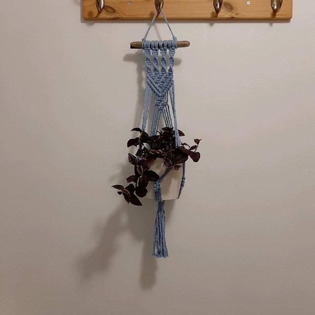 Macrame Plant Hanger