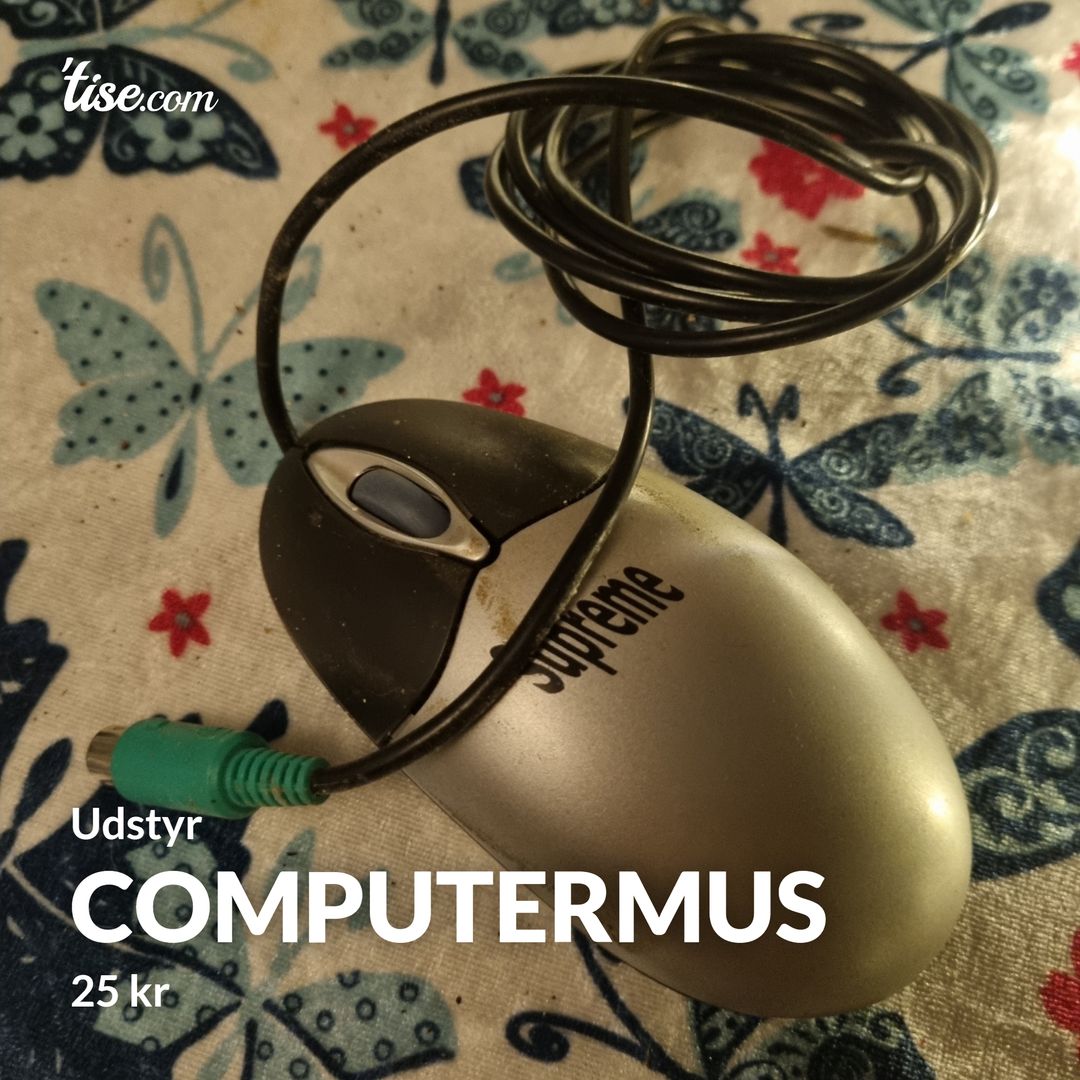 Computermus