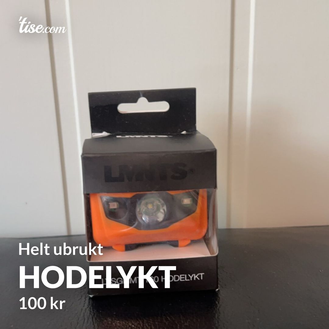 Hodelykt