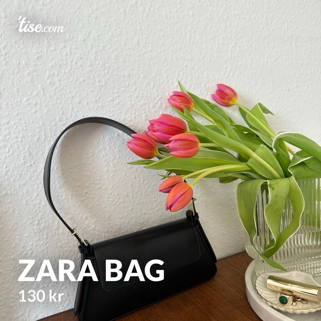 Zara bag