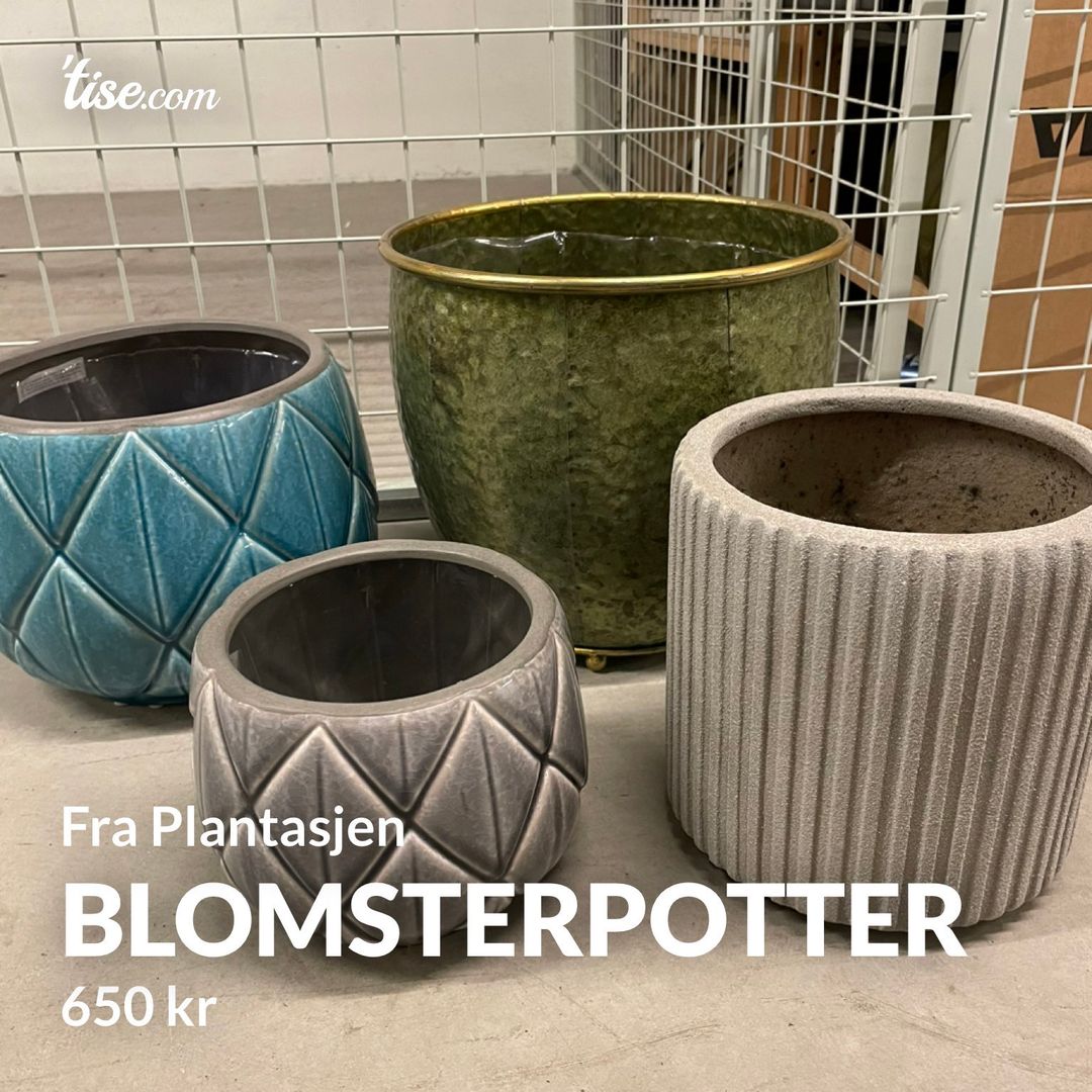 Blomsterpotter