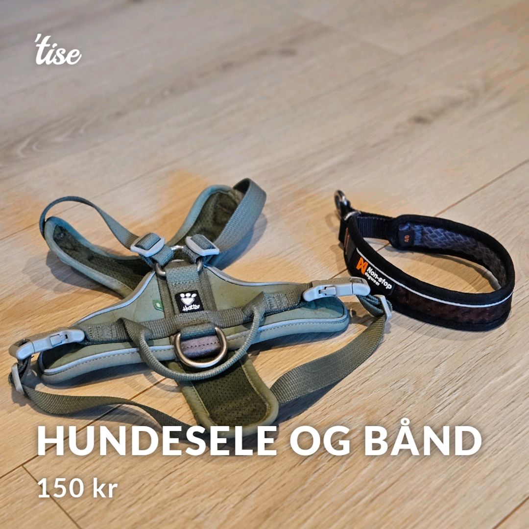 Hundesele og bånd