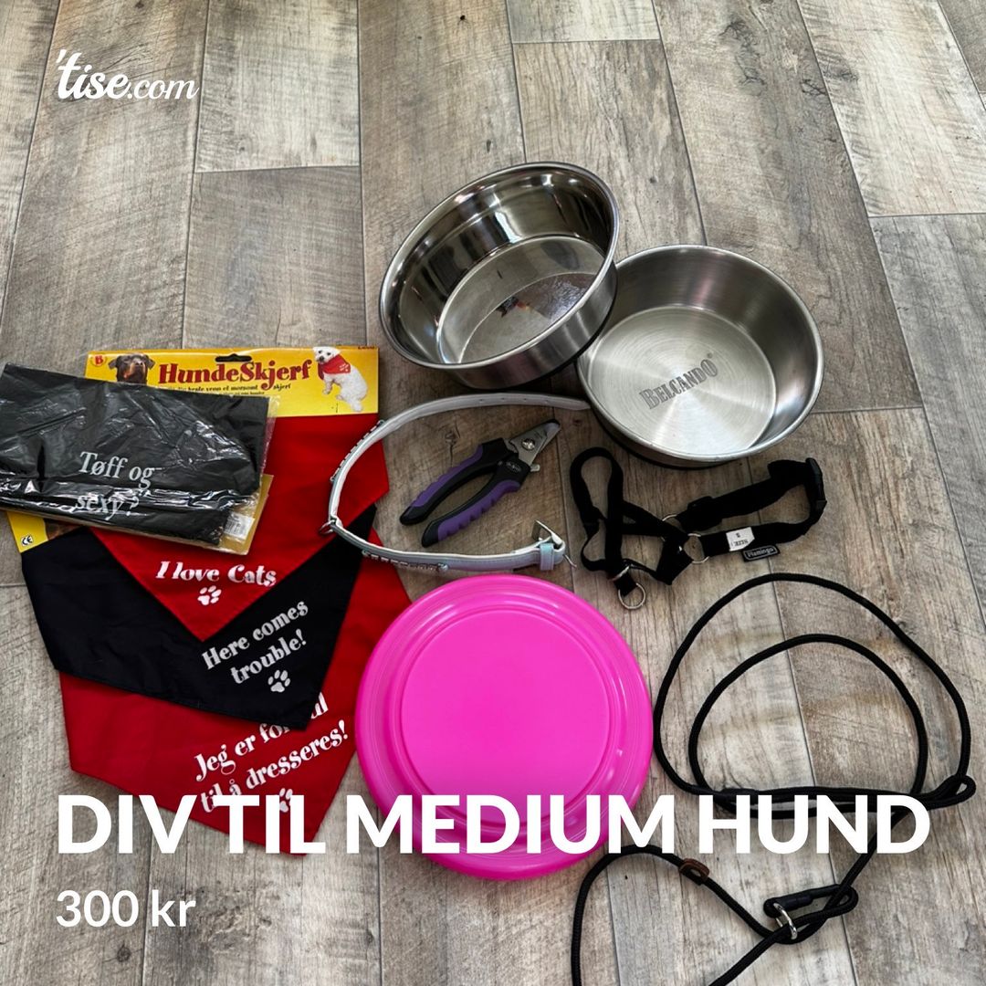 Div til medium hund