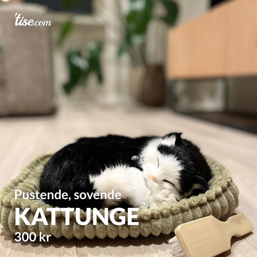 Kattunge