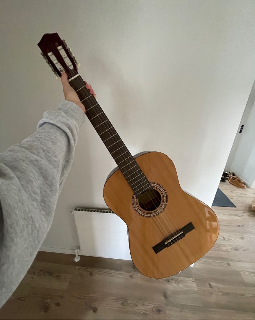 Guitar