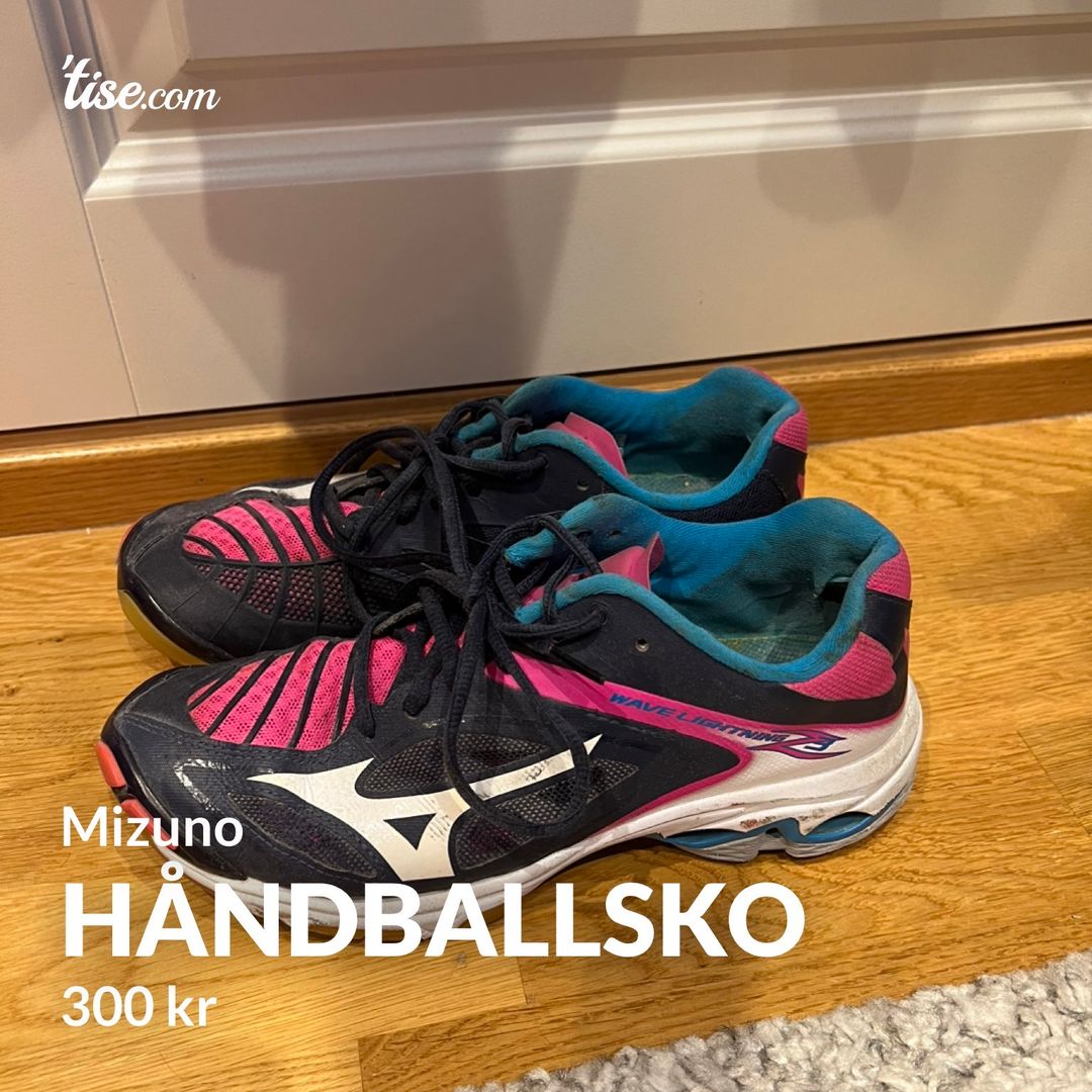 Håndballsko