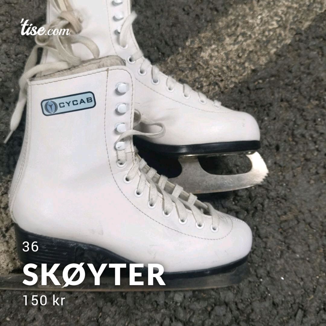 Skøyter