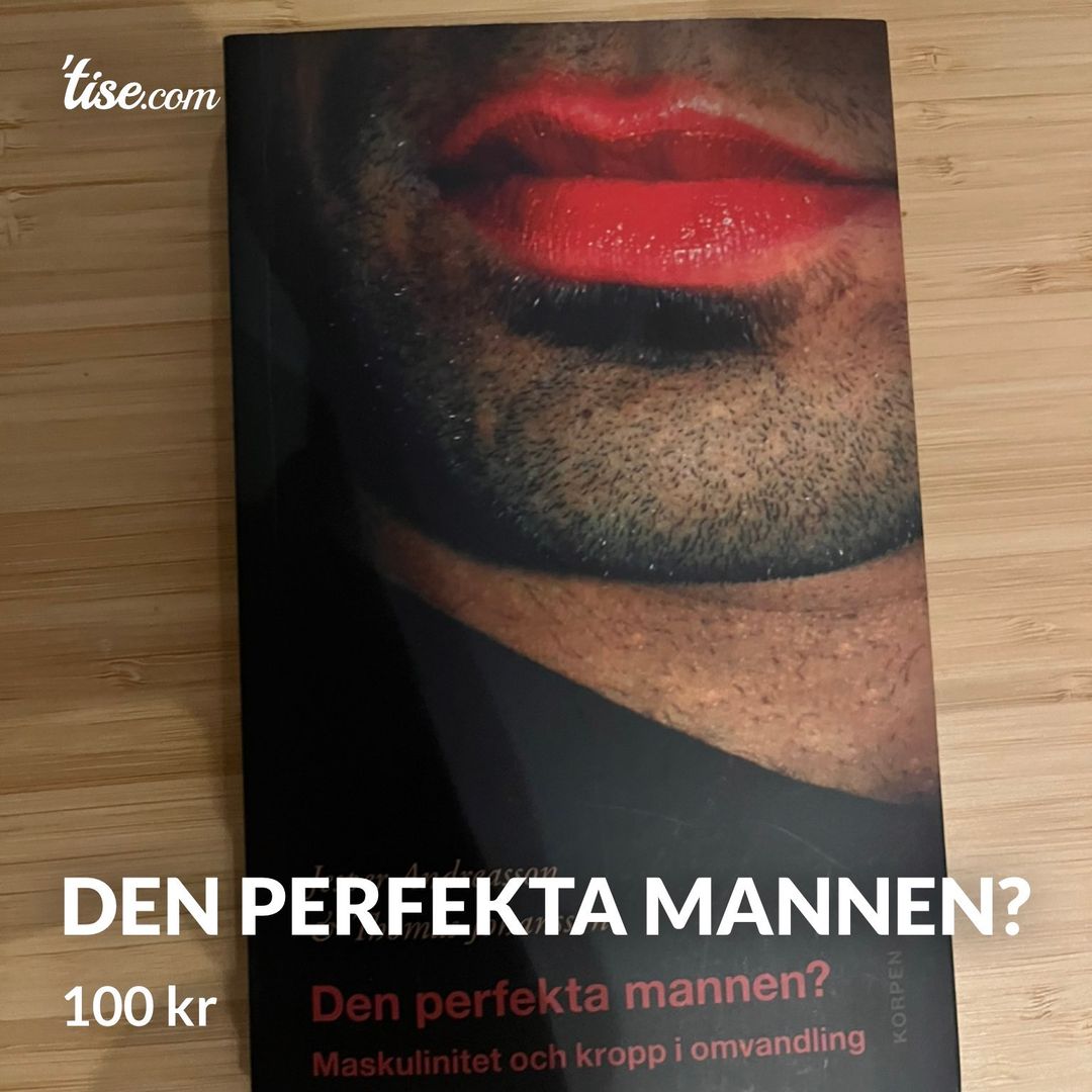 Den perfekta mannen?