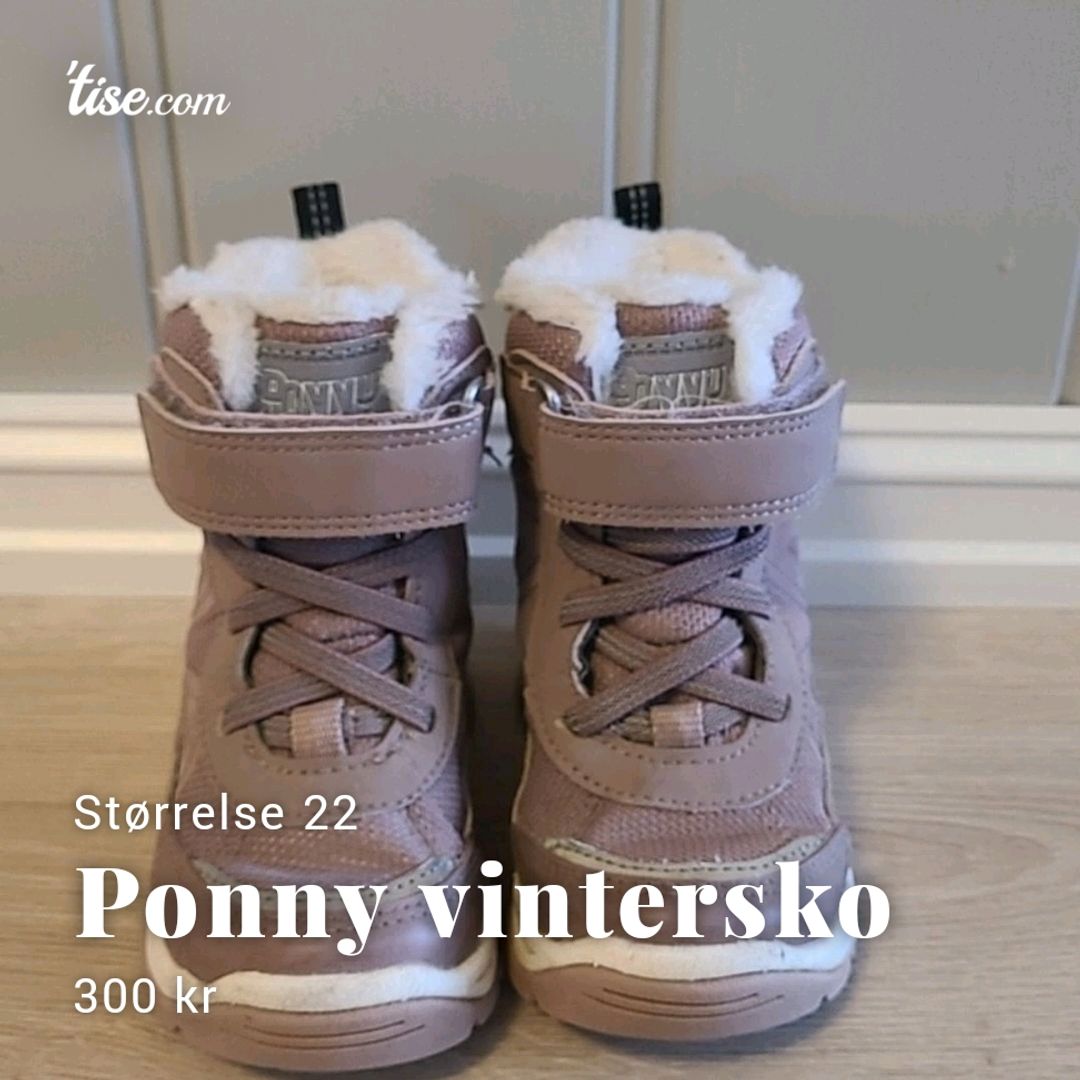 Ponny vintersko