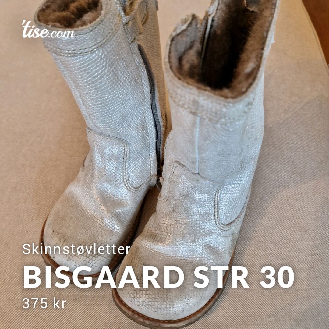 Bisgaard Str 30