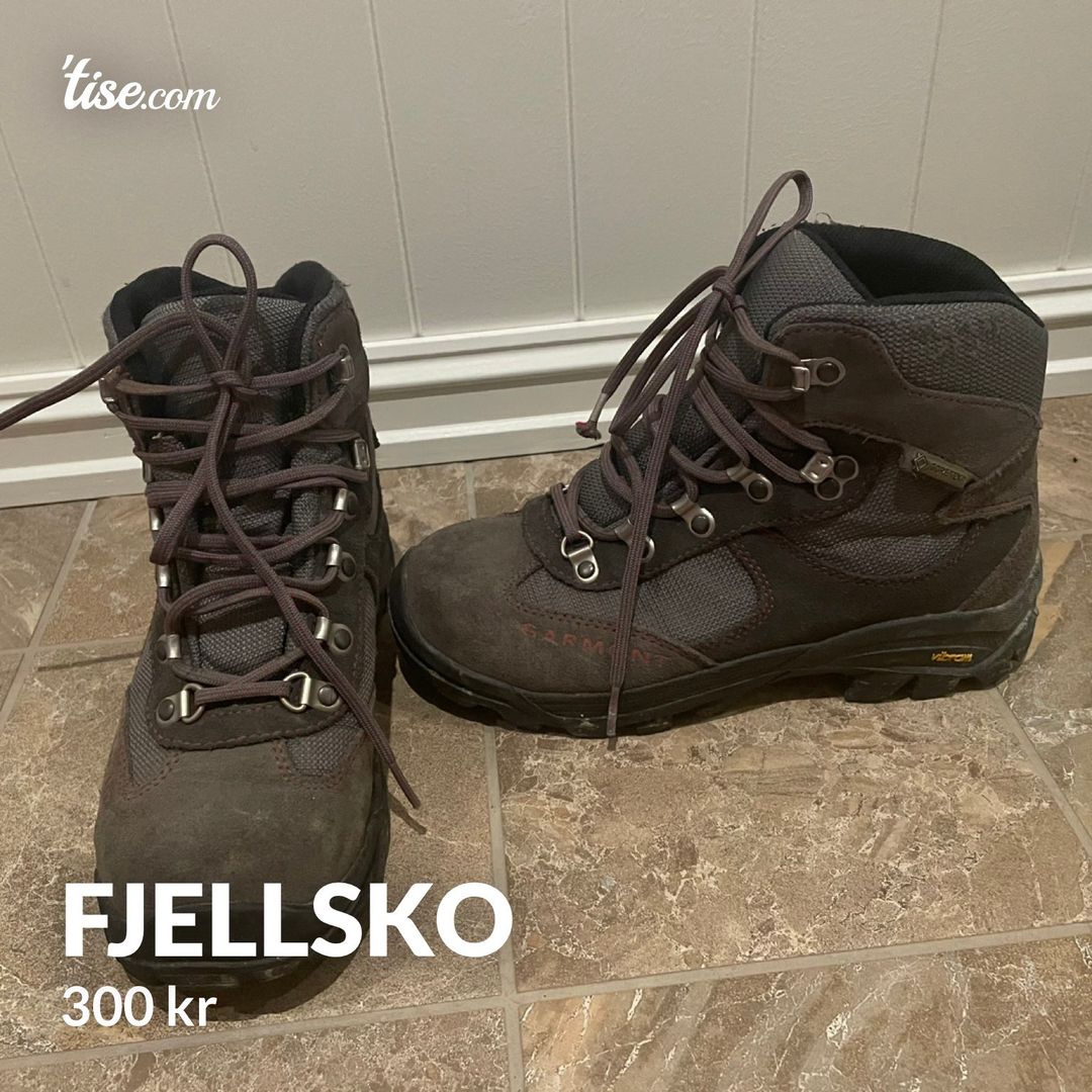 Fjellsko