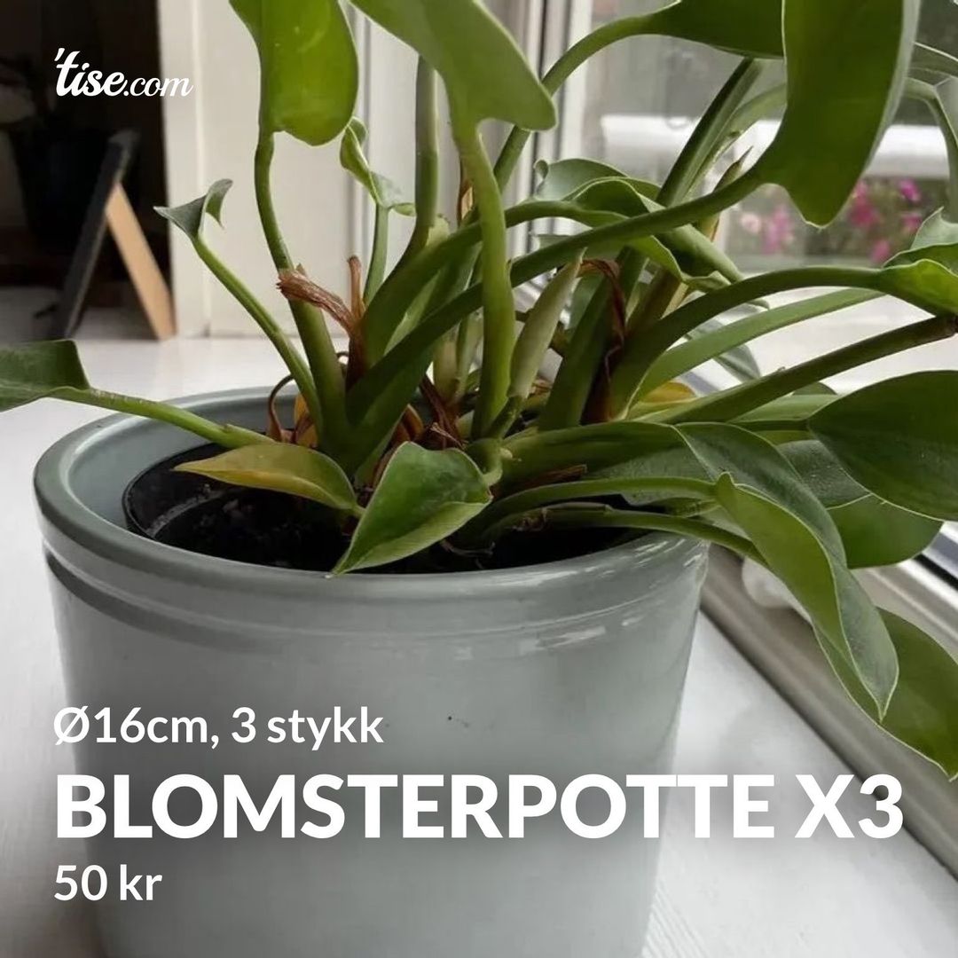 Blomsterpotte x3