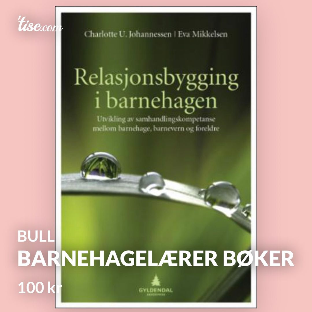 Barnehagelærer bøker