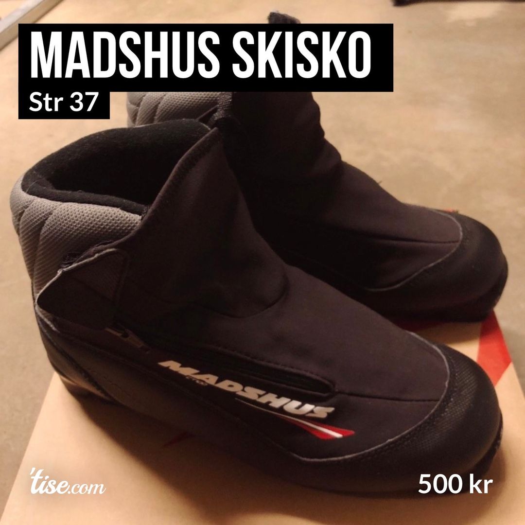 Madshus skisko