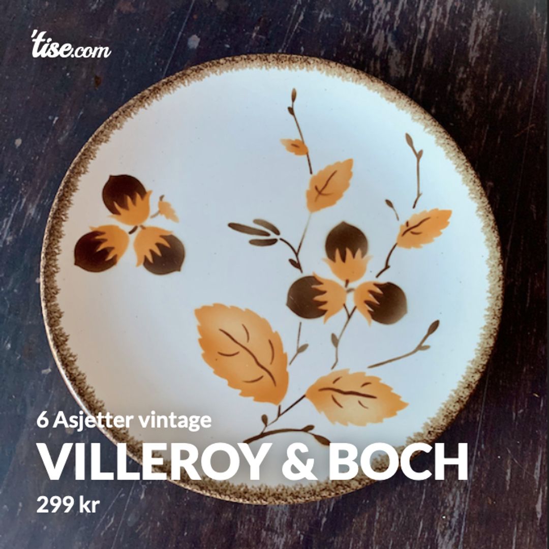 Villeroy  Boch