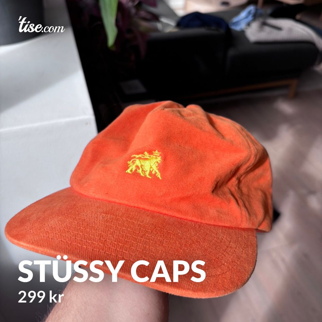 Stüssy caps