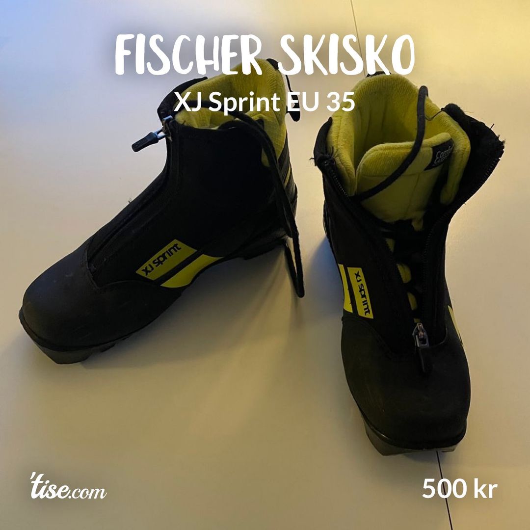 Fischer skisko