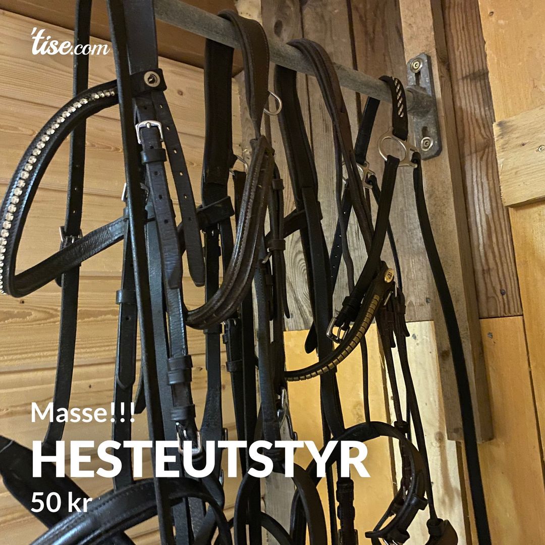 Hesteutstyr