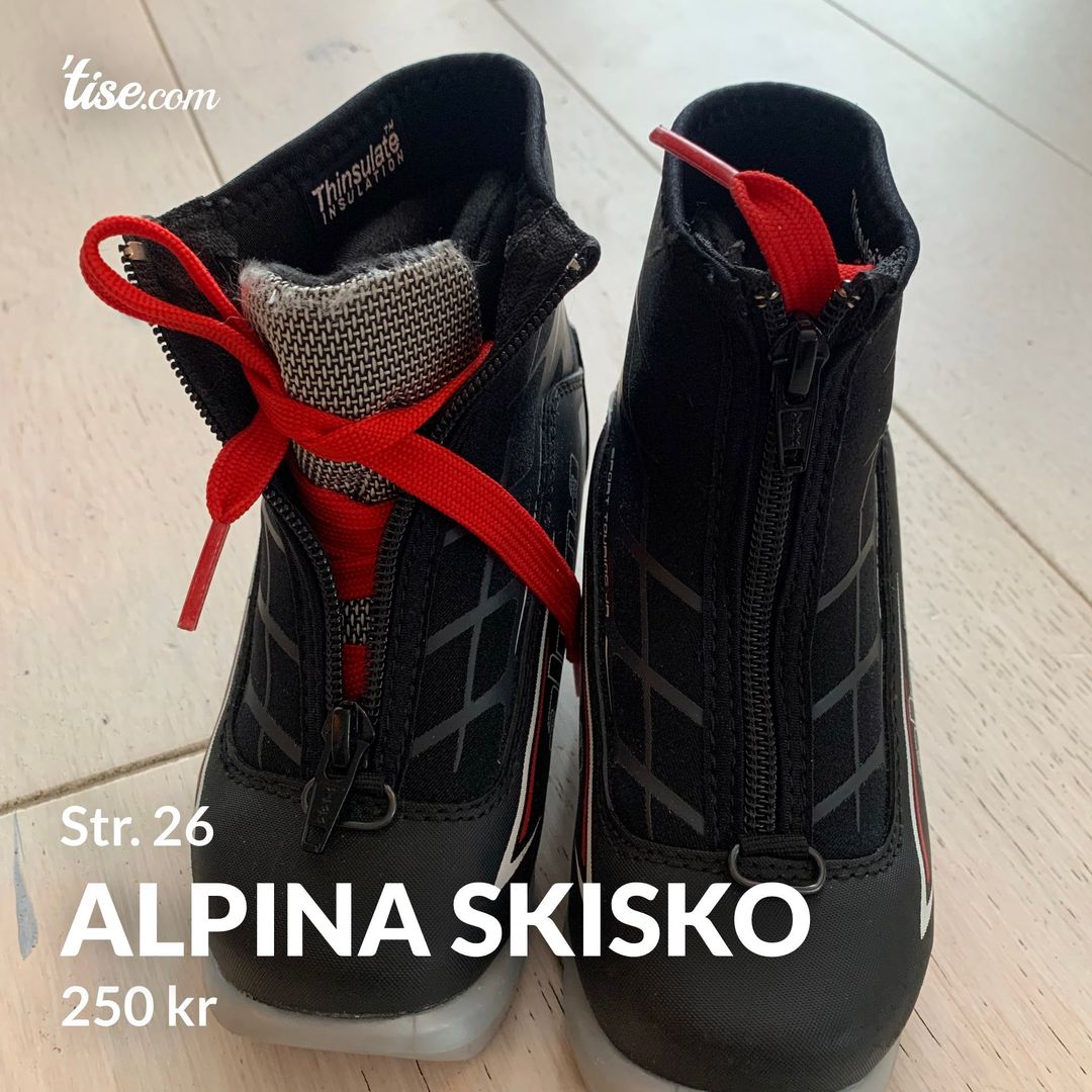 Alpina skisko