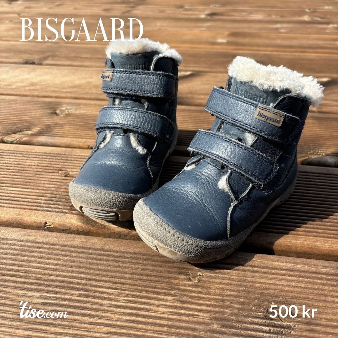 Bisgaard