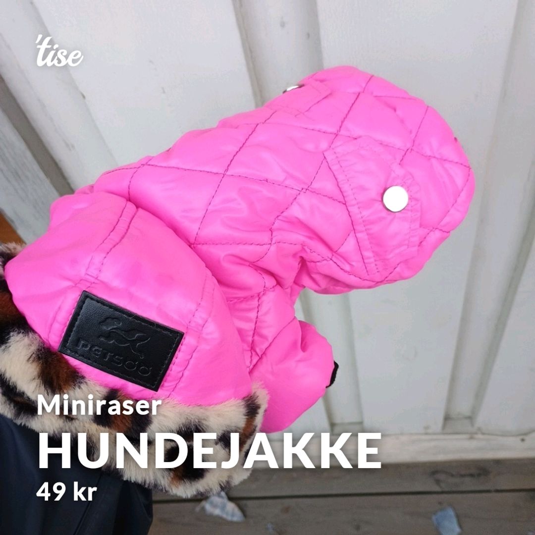 Hundejakke