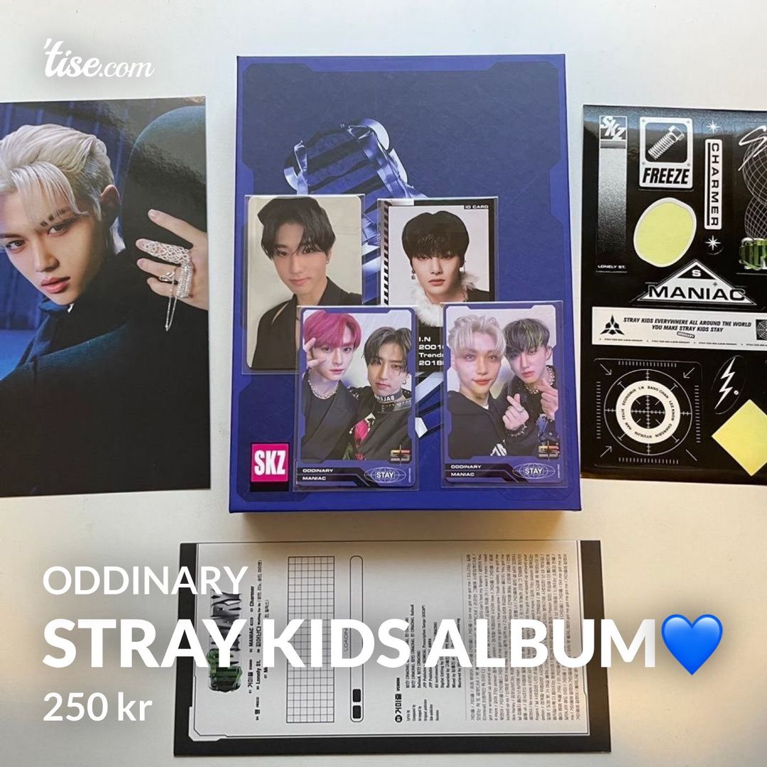 Stray Kids Album💙