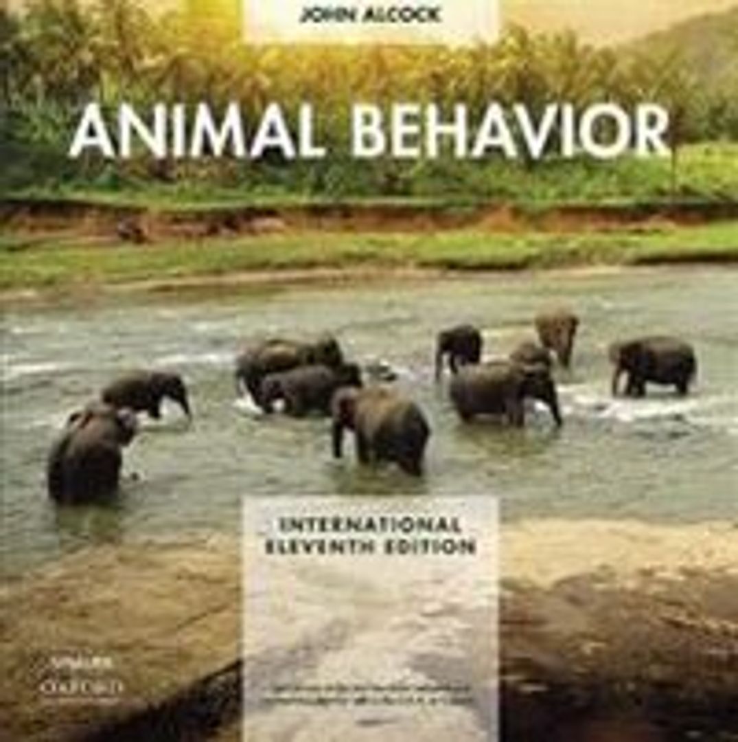 Animal Behavior